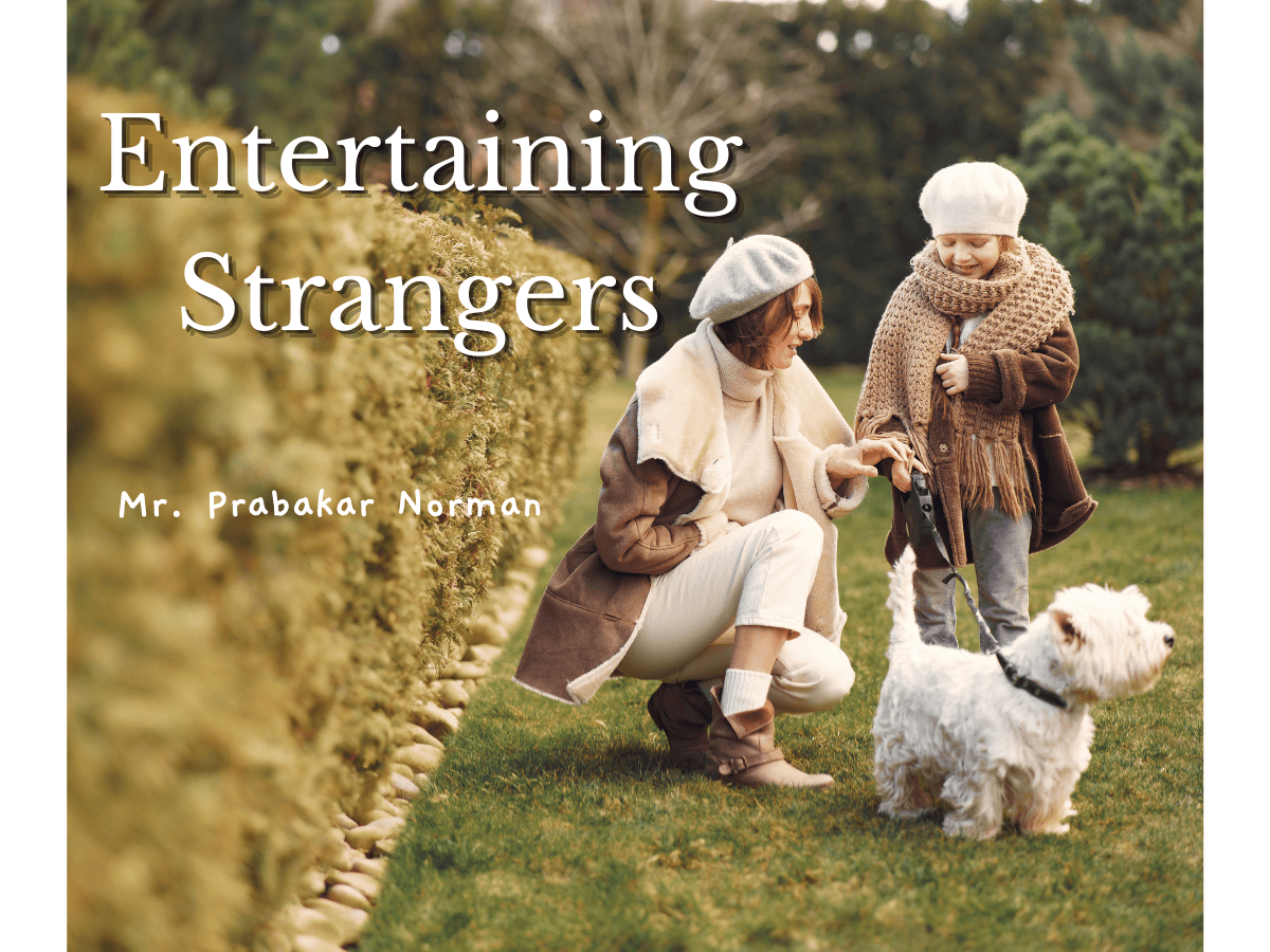 Entertaining Strangers - m